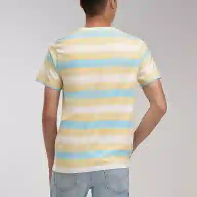 levis T