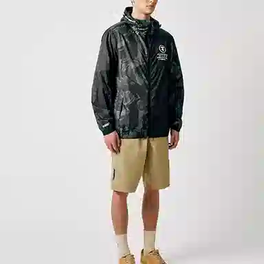 Aape
