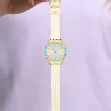 SWATCHSWATCH PROTEAM COLLECTION 30 38*45.6mm