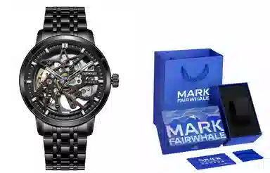 FAIRWHALE FW-6040-S2