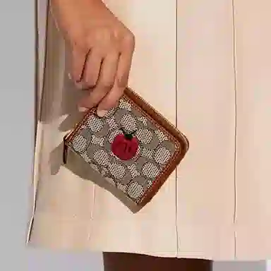 COACH Billfold Wallet 10