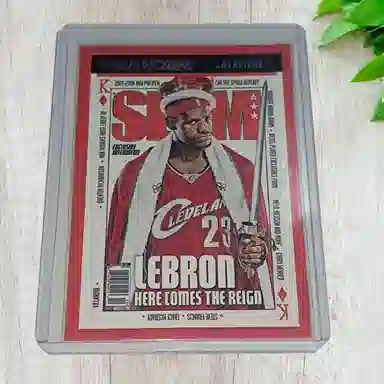 PANINI NBA Hoops LeBron James SLAM.