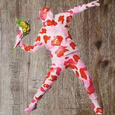 Banksy BAPE Flower Bomber