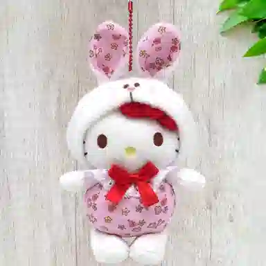 Sanrio Hello Kitty
