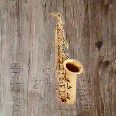 JINBAO (JINBAO) E JBAS-700