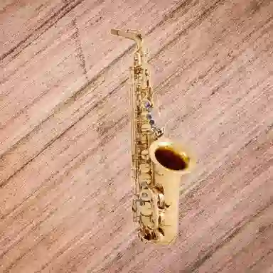 JINBAO (JINBAO) E JBAS-700