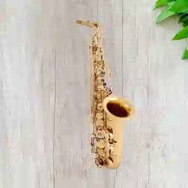 JINBAO (JINBAO) E JBAS-700