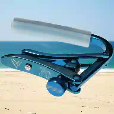 SHUBB () CiteeCite(Tommy Emmanuel) 70