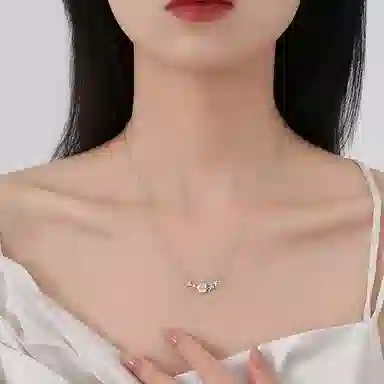 ins S999