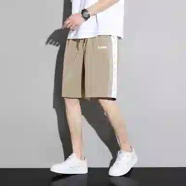 tonlion