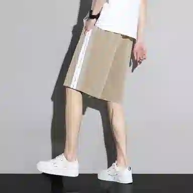 tonlion