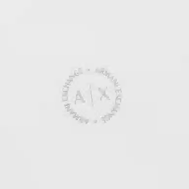 ARMANI EXCHANGE SS24 LogoPolo