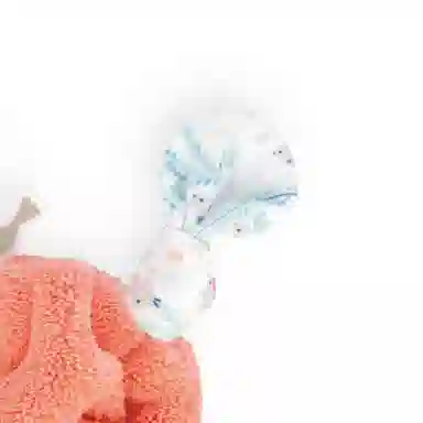 Kaloo