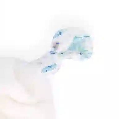 Kaloo
