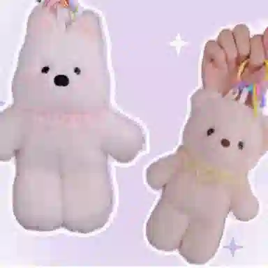 20cm
