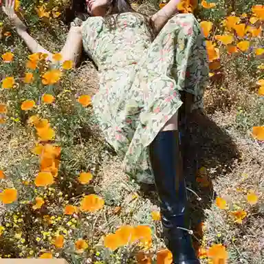 Realisation Par The Lila Meadow