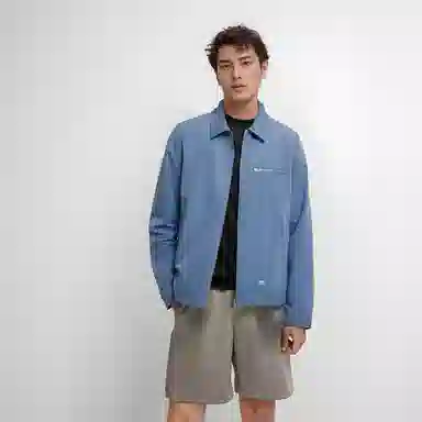 Dickies