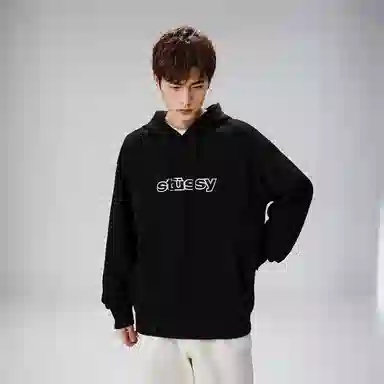 Stussy SS-Link Hoodie