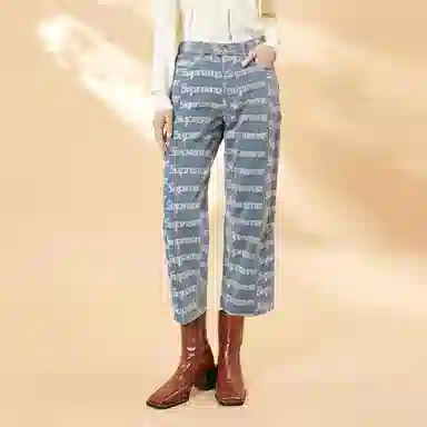 Supreme Denim Painter Pant