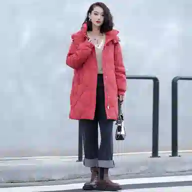 鸭鸭 舒适通勤百搭羽绒服 女款