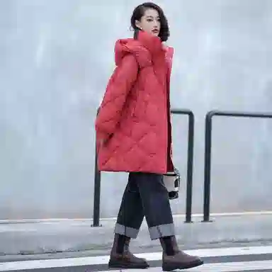 鸭鸭 舒适通勤百搭羽绒服 女款