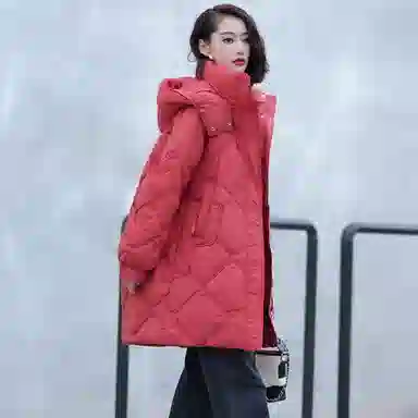 鸭鸭 舒适通勤百搭羽绒服 女款