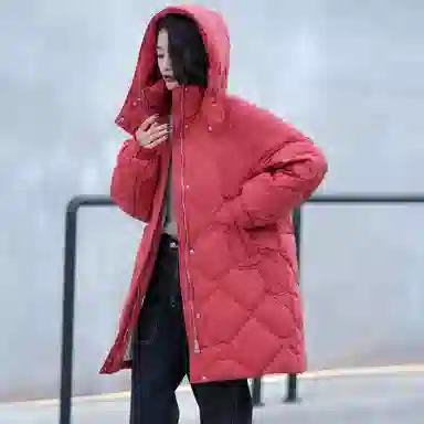 鸭鸭 舒适通勤百搭羽绒服 女款