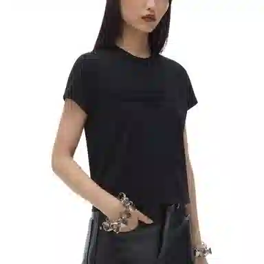 alexander wang FW24 T