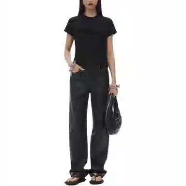 alexander wang FW24 T