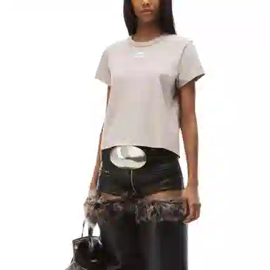 alexander wang FW24 T