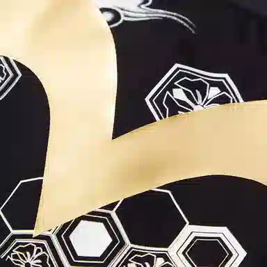 EVISU Boxer Briefs Animal Print