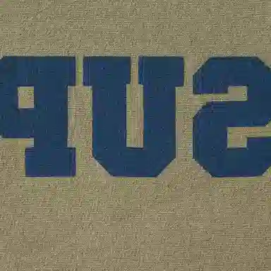 Supreme SS25 Reverse Hooded Sweatshirt