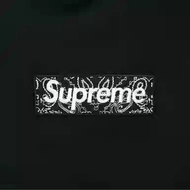 Supreme Bandana Box Logo Hoodie Black