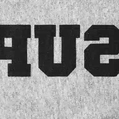 Supreme SS25 Reverse Hooded Sweatshirt