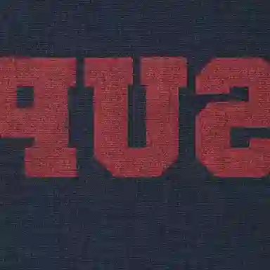 Supreme SS25 Reverse Hooded Sweatshirt