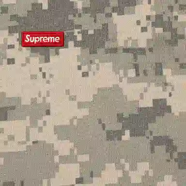 Supreme FW25 Small Box Hooded Sweatshirt