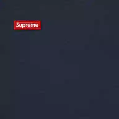 Supreme FW25 Small Box Hooded Sweatshirt