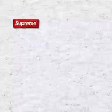 Supreme FW25 Small Box Hooded Sweatshirt