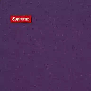 Supreme FW25 Small Box Hooded Sweatshirt