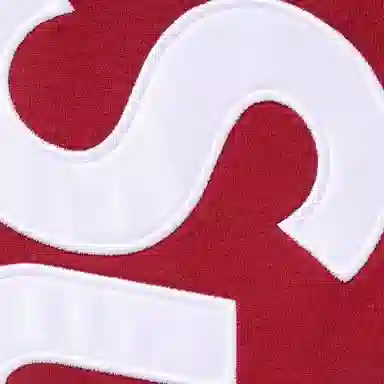 Supreme FW25 Satin Appliqué Sweatpant