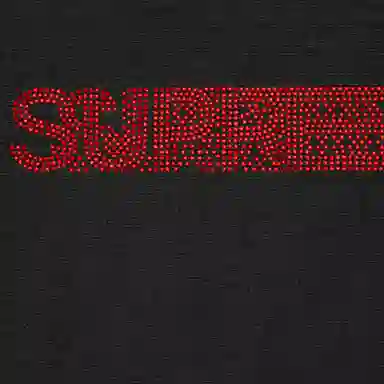 Supreme x FW25 WEEK4 Motion Logo Hooded Sweatshirt