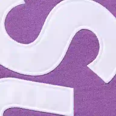 Supreme FW25 Satin Appliqué Sweatpant