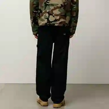 Stussy FW25 CARPENTER PANT CANVAS