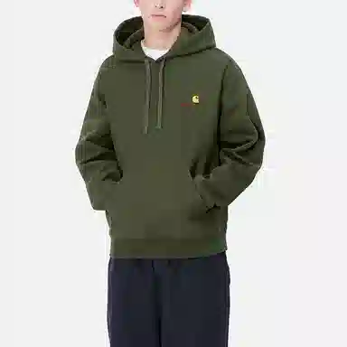 Carhartt WIP American Script FW24 Hoodie Green