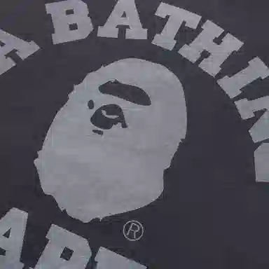 A Bathing Ape FW25 Hoodie