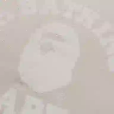 A Bathing Ape FW25 Hoodie