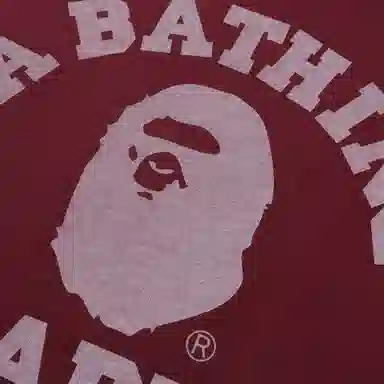A Bathing Ape FW25 Hoodie
