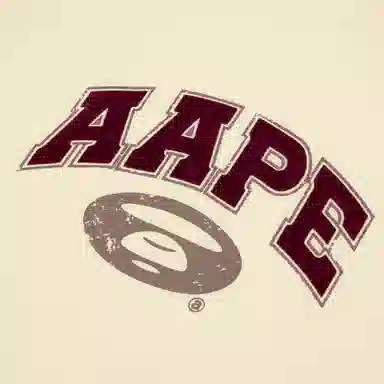 Aape T