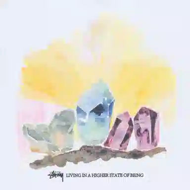 Stussy Higher State Tee