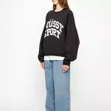 Stussy Big Crackle Sport Crew